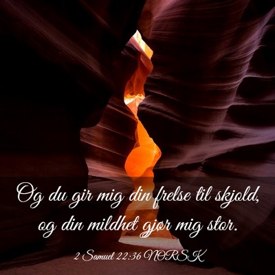 Picture 03 - 2 Samuel 22:36 NORSK - Og du gir mig din frelse til skjold, og din - Bible Verse Picture
