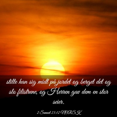 Picture 03 - 2 Samuel 23:12 NORSK - stilte han sig midt på jordet og berget det og - Bible Verse Picture