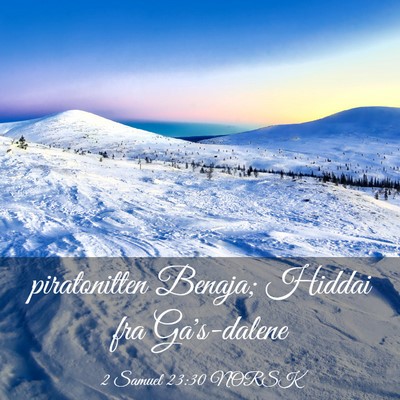 Picture 03 - 2 Samuel 23:30 NORSK - piratonitten Benaja; Hiddai fra - Bible Verse Picture