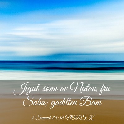Picture 03 - 2 Samuel 23:36 NORSK - Jigal, sønn av Natan, fra Soba; gaditten - Bible Verse Picture