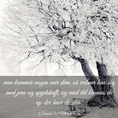 Picture 03 - 2 Samuel 23:7 NORSK - men kommer nogen nær dem, så væbner han sig - Bible Verse Picture