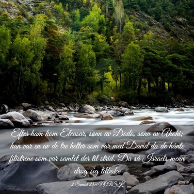 Picture 03 - 2 Samuel 23:9 NORSK - Efter ham kom Eleasar, sønn av Dodo, sønn av - Bible Verse Picture
