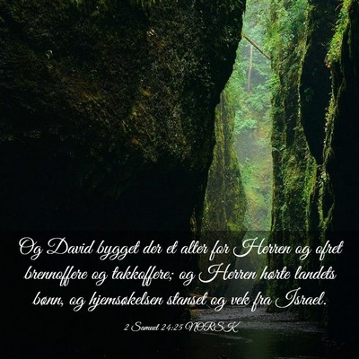 Picture 03 - 2 Samuel 24:25 NORSK - Og David bygget der et alter for Herren og ofret - Bible Verse Picture