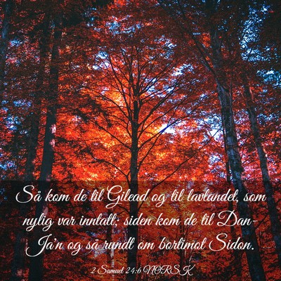 Picture 03 - 2 Samuel 24:6 NORSK - Så kom de til Gilead og til lavlandet, som nylig - Bible Verse Picture