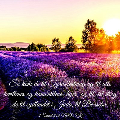 Picture 03 - 2 Samuel 24:7 NORSK - Så kom de til Tyrus'festning og til alle - Bible Verse Picture