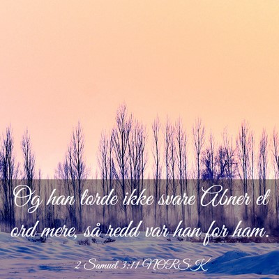 Picture 03 - 2 Samuel 3:11 NORSK - Og han torde ikke svare Abner et ord mere, så - Bible Verse Picture