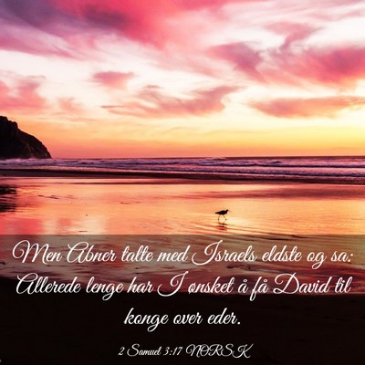 Picture 03 - 2 Samuel 3:17 NORSK - Men Abner talte med Israels eldste og sa: - Bible Verse Picture