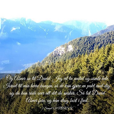 Picture 03 - 2 Samuel 3:21 NORSK - Og Abner sa til David: Jeg vil ta avsted og samle - Bible Verse Picture