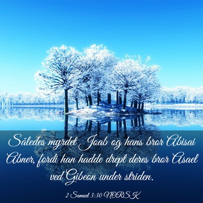 Picture 03 - 2 Samuel 3:30 NORSK - Således myrdet Joab og hans bror Abisai Abner, - Bible Verse Picture