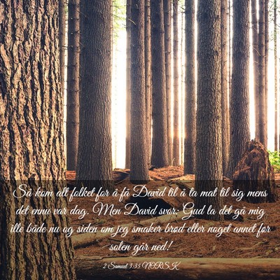 Picture 03 - 2 Samuel 3:35 NORSK - Så kom alt folket for å få David til å ta mat - Bible Verse Picture