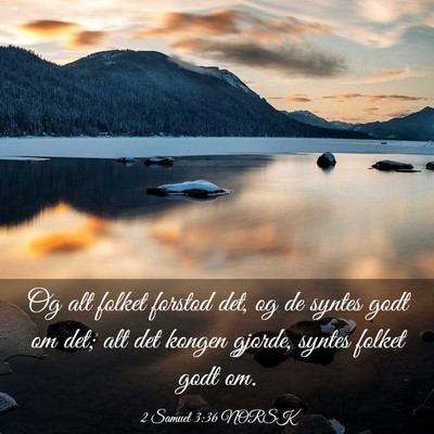 Picture 03 - 2 Samuel 3:36 NORSK - Og alt folket forstod det, og de syntes godt om - Bible Verse Picture