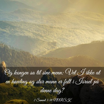 Picture 03 - 2 Samuel 3:38 NORSK - Og kongen sa til sine menn: Vet I ikke at en - Bible Verse Picture