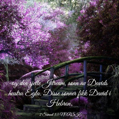 Picture 03 - 2 Samuel 3:5 NORSK - og den sjette Jitream, sønn av Davids hustru - Bible Verse Picture