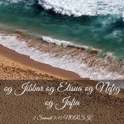 Picture 03 - 2 Samuel 5:15 NORSK - og Jibbar og Elisua og Nefeg og - Bible Verse Picture