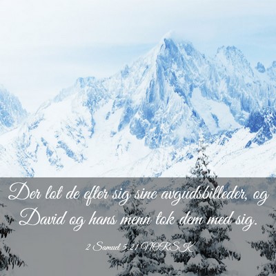 Picture 03 - 2 Samuel 5:21 NORSK - Der lot de efter sig sine avgudsbilleder, og - Bible Verse Picture