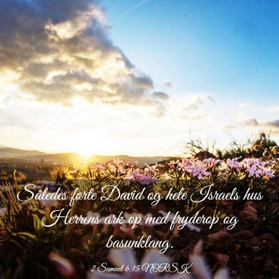 Picture 03 - 2 Samuel 6:15 NORSK - Således førte David og hele Israels hus Herrens - Bible Verse Picture