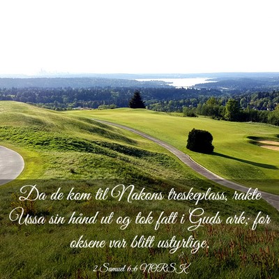 Picture 03 - 2 Samuel 6:6 NORSK - Da de kom til Nakons treskeplass, rakte Ussa sin - Bible Verse Picture