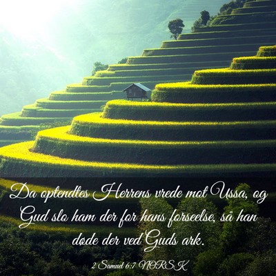 Picture 03 - 2 Samuel 6:7 NORSK - Da optendtes Herrens vrede mot Ussa, og Gud slo - Bible Verse Picture
