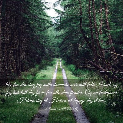 Picture 03 - 2 Samuel 7:11 NORSK - like fra den dag jeg satte dommere over mitt folk - Bible Verse Picture