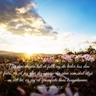 Picture 03 - 2 Samuel 7:12 NORSK - Når dine dagers tall er fullt, og du hviler hos - Bible Verse Picture