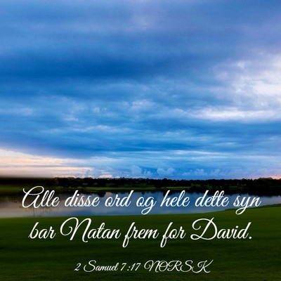 Picture 03 - 2 Samuel 7:17 NORSK - Alle disse ord og hele dette syn bar Natan frem - Bible Verse Picture