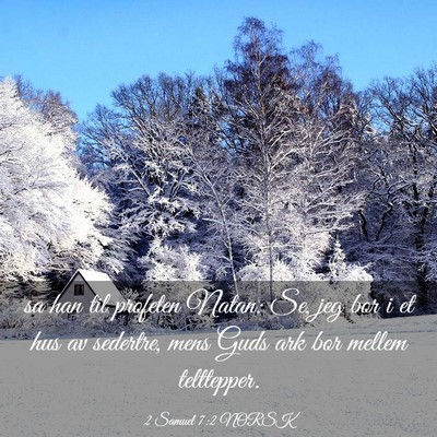 Picture 03 - 2 Samuel 7:2 NORSK - sa han til profeten Natan: Se, jeg bor i et hus - Bible Verse Picture