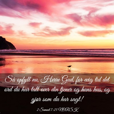 Picture 03 - 2 Samuel 7:25 NORSK - Så opfyll nu, Herre Gud, for evig tid det ord du - Bible Verse Picture