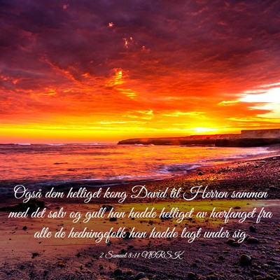 Picture 03 - 2 Samuel 8:11 NORSK - Også dem helliget kong David til Herren sammen - Bible Verse Picture