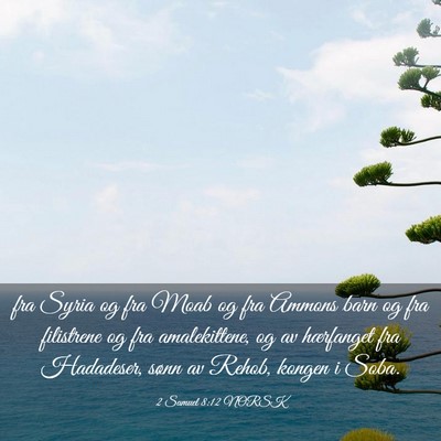 Picture 03 - 2 Samuel 8:12 NORSK - fra Syria og fra Moab og fra Ammons barn og fra - Bible Verse Picture