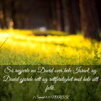 Picture 03 - 2 Samuel 8:15 NORSK - Så regjerte nu David over hele Israel, og David - Bible Verse Picture