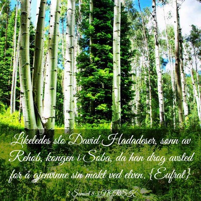 Picture 03 - 2 Samuel 8:3 NORSK - Likeledes slo David Hadadeser, sønn av Rehob, - Bible Verse Picture