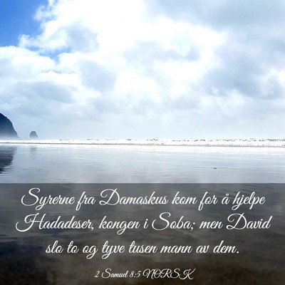 Picture 03 - 2 Samuel 8:5 NORSK - Syrerne fra Damaskus kom for å hjelpe Hadadeser, - Bible Verse Picture