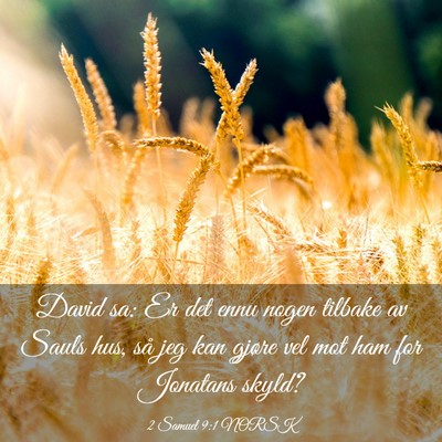 Picture 03 - 2 Samuel 9:1 NORSK - David sa: Er det ennu nogen tilbake av Sauls hus, - Bible Verse Picture