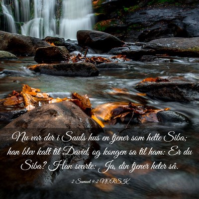 Picture 03 - 2 Samuel 9:2 NORSK - Nu var der i Sauls hus en tjener som hette Siba; - Bible Verse Picture