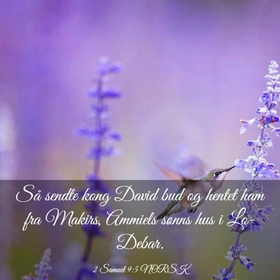 Picture 03 - 2 Samuel 9:5 NORSK - Så sendte kong David bud og hentet ham fra - Bible Verse Picture