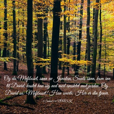Picture 03 - 2 Samuel 9:6 NORSK - Og da Mefiboset, sønn av Jonatan, Sauls sønn, - Bible Verse Picture