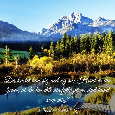 Picture 03 - 2 Samuel 9:8 NORSK - Da kastet han sig ned og sa: Hvad er din tjener, - Bible Verse Picture
