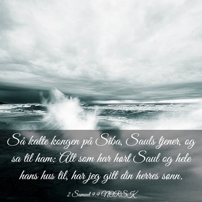 Picture 03 - 2 Samuel 9:9 NORSK - Så kalte kongen på Siba, Sauls tjener, og sa - Bible Verse Picture