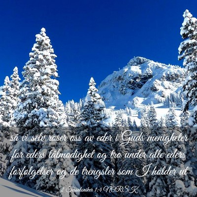 Picture 03 - 2 Tessaloniker 1:4 NORSK - så vi selv roser oss av eder i Guds menigheter - Bible Verse Picture