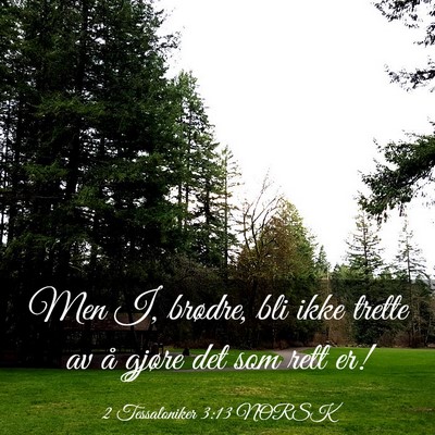 Picture 03 - 2 Tessaloniker 3:13 NORSK - Men I, brødre, bli ikke trette av å gjøre det - Bible Verse Picture