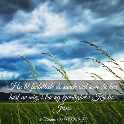 Picture 03 - 2 Timoteus 1:13 NORSK - Ha til forbillede de sunde ord som du har hørt - Bible Verse Picture