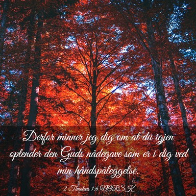 Picture 03 - 2 Timoteus 1:6 NORSK - Derfor minner jeg dig om at du igjen optender den - Bible Verse Picture