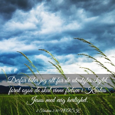 Picture 03 - 2 Timoteus 2:10 NORSK - Derfor tåler jeg alt for de utvalgtes skyld, - Bible Verse Picture
