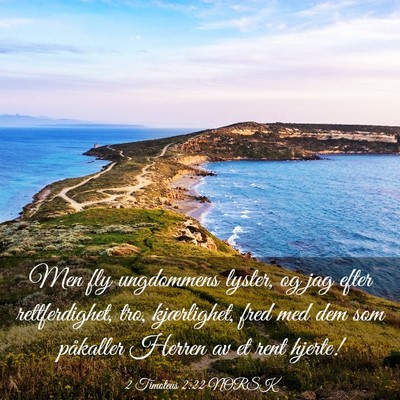 Picture 03 - 2 Timoteus 2:22 NORSK - Men fly ungdommens lyster, og jag efter - Bible Verse Picture