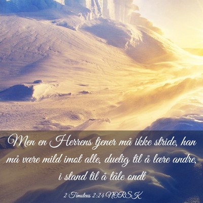 Picture 03 - 2 Timoteus 2:24 NORSK - Men en Herrens tjener må ikke stride, han må - Bible Verse Picture