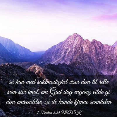 Picture 03 - 2 Timoteus 2:25 NORSK - så han med saktmodighet viser dem til rette som - Bible Verse Picture
