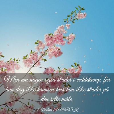 Picture 03 - 2 Timoteus 2:5 NORSK - Men om nogen også strider i veddekamp, får han - Bible Verse Picture