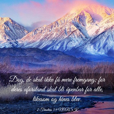 Picture 03 - 2 Timoteus 3:9 NORSK - Dog, de skal ikke få mere fremgang; for deres - Bible Verse Picture