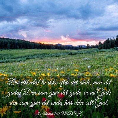 Picture 03 - 3 Johannes 1:11 NORSK - Du elskede! ta ikke efter det onde, men det gode! - Bible Verse Picture