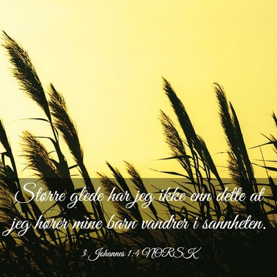 Picture 03 - 3 Johannes 1:4 NORSK - Større glede har jeg ikke enn dette at jeg - Bible Verse Picture